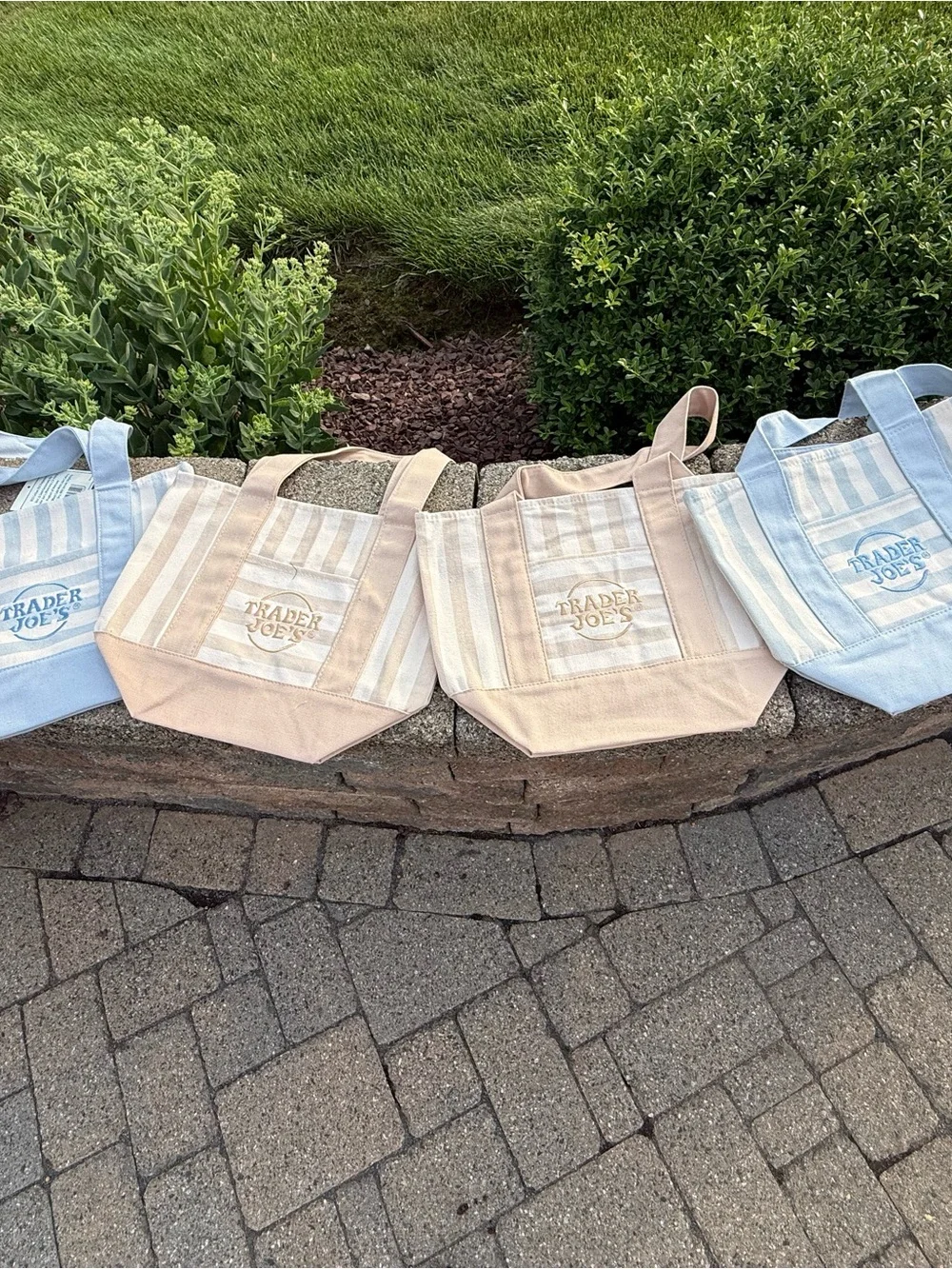 Trader Joe's Set of 4 Striped Canvas Tote Bags - Blue & Beige - Picture 3 of 5